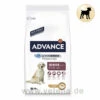 Advance Maxi Senior Trockenfutter Für Hunde -Dechra Verkaufe advance maxi senior hund