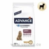 Advance Medium Senior Trockenfutter Für Hunde 1 Advance Medium Senior Trockenfutter Für Hunde -Dechra Verkaufe advance medium senior hund