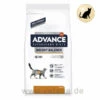 Advance Weight Balance Trockenfutter Für Katzen -Dechra Verkaufe advance weight balance katze