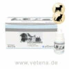 Alfavet-Augentropfen 1 Alfavet-Augentropfen -Dechra Verkaufe alfavet augentropfen tiere
