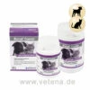 Alfavet Renal Combi Hund & Katze -Dechra Verkaufe alfavet renal hund katze