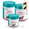 Astoral Almazyme Hund Und Katze 2 Astoral Almazyme Hund Und Katze -Dechra Verkaufe almapharm astoral almazyme hund