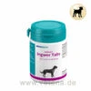 Astoral Ingwer Tabs 1 Astoral Ingwer Tabs -Dechra Verkaufe almapharm astoral ingwer tabs hund