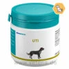 Astoral UTI Hund -Dechra Verkaufe almapharm astoral uti hund