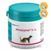 Astorin Almazyme H.a. Hund Und Katze 1 Astorin Almazyme H.a. Hund Und Katze -Dechra Verkaufe almapharm astorin almazyme h a