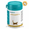 Astorin B-DecapleX H.a. Katze -Dechra Verkaufe almapharm astorin b decaplex h a