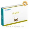 Astorin FLUTD Katze -Dechra Verkaufe almapharm astorin flutd katze