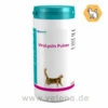Astorin ViroLysin Pulver -Dechra Verkaufe almapharm astorin virolysin pulver katze