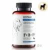 Animaux Gastro Balance -Dechra Verkaufe animaux gastro balance hunde