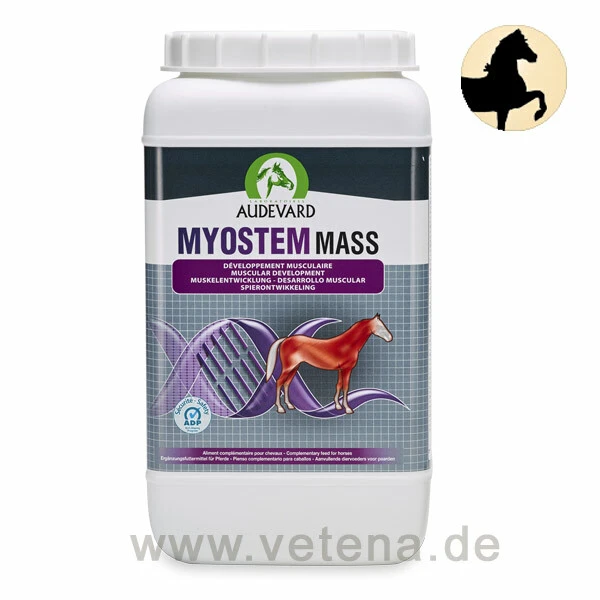 Audevard Myostem Mass Für Pferde 3 Audevard Myostem Mass Für Pferde