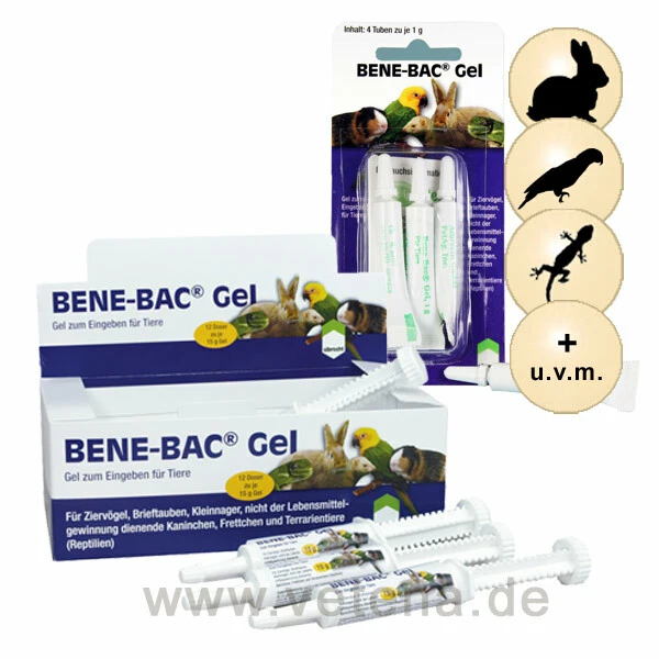 DECHRA Bene-Bac Gel 3 DECHRA Bene-Bac Gel