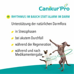 Boehringer Ingelheim Canikur Pro Hund & Katze -Dechra Verkaufe canikur pro paste hund katze bei akutem durchfall3