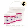 Canina Equolyt Arthro Forte -Dechra Verkaufe canina equolyt arthro forte pferd