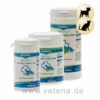 Canina Petvital Arthro-Tabletten -Dechra Verkaufe canina petvital arthro tabletten hund katze