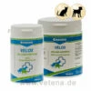 Canina Velox Gelenkenergie -Dechra Verkaufe canina velox gelenkenergie hund katze