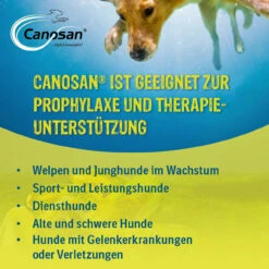 Boehringer Ingelheim Canosan Für Hunde -Dechra Verkaufe canosan hund boehringer ingelheim3