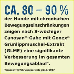 Boehringer Ingelheim Canosan Für Hunde -Dechra Verkaufe canosan hund boehringer ingelheim4