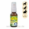 CdVet DentaVet Spray 2 CdVet DentaVet Spray -Dechra Verkaufe cdvet dentavet spray