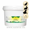 CdVet InsektoVet Kieselgur Liquid Powder 1 CdVet InsektoVet Kieselgur Liquid Powder -Dechra Verkaufe cdvet insektovet kieselgur liquid powder