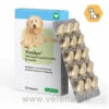 VivoSyn Für Hunde 1 VivoSyn Für Hunde -Dechra Verkaufe cp pharma vivosyn fuer hunde