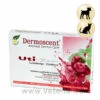 Dermoscent Uti-Zen -Dechra Verkaufe dermoscent uti zen