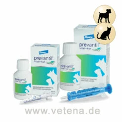 Prevantil Vital-Kur Hund & Katze