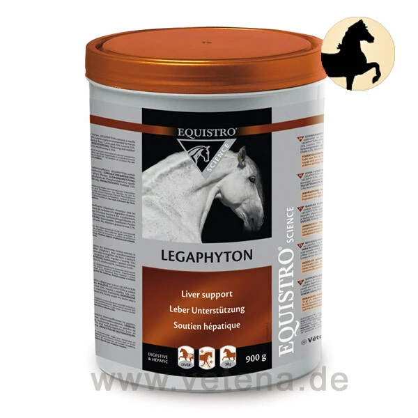 Equistro Legaphyton Pferd 3 Equistro Legaphyton Pferd