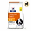 Hill's C/d Multicare Trockenfutter Für Hunde 2 Hill's C/d Multicare Trockenfutter Für Hunde -Dechra Verkaufe hills c d multicare urinary care trocken hund