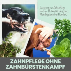 Noms+ Dentalmix Für Hunde -Dechra Verkaufe nomsplus dentalmix hunde4