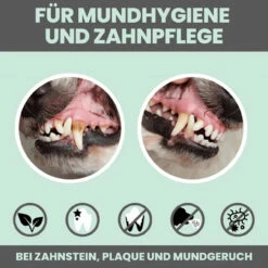 Noms+ Dentalmix Für Hunde -Dechra Verkaufe nomsplus dentalmix hunde5