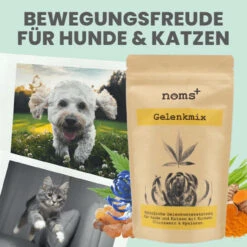 Noms+ Gelenkmix Für Hunde & Katzen -Dechra Verkaufe nomsplus gelenkmix hunde katzen3