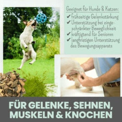 Noms+ Gelenkmix Für Hunde & Katzen -Dechra Verkaufe nomsplus gelenkmix hunde katzen4