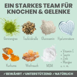 Noms+ Gelenkmix Für Hunde & Katzen -Dechra Verkaufe nomsplus gelenkmix hunde katzen5