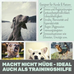 Noms+ Wohlfühlmix Für Hunde & Katzen 11 Noms+ Wohlfühlmix Für Hunde & Katzen -Dechra Verkaufe nomsplus wohlfuehlmix hunde katzen3