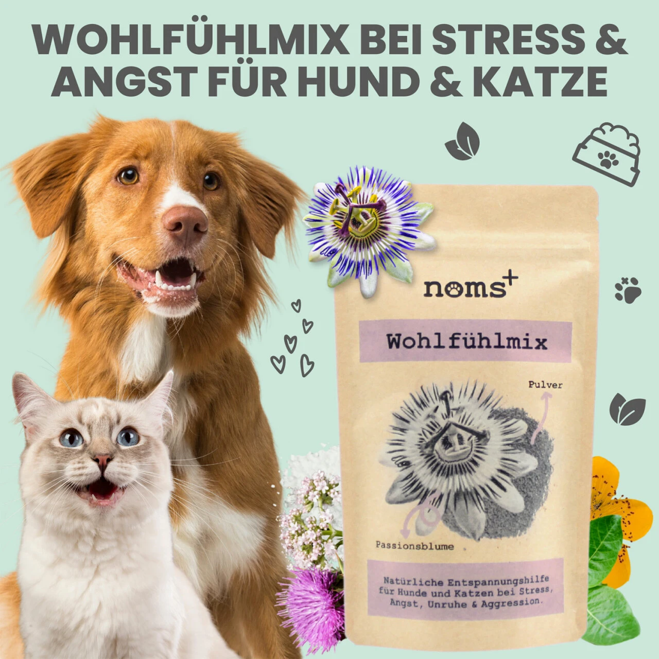 Noms+ Wohlfühlmix Für Hunde & Katzen 9 Noms+ Wohlfühlmix Für Hunde & Katzen – Bild 7