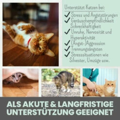 Noms+ Wohlfühlpaste Für Katzen -Dechra Verkaufe nomsplus wohlfuehlpaste hunde4