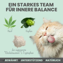Noms+ Wohlfühlpaste Für Katzen -Dechra Verkaufe nomsplus wohlfuehlpaste hunde6