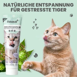 Noms+ Wohlfühlpaste Für Katzen -Dechra Verkaufe nomsplus wohlfuehlpaste hunde7