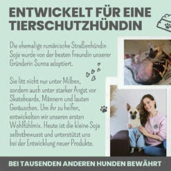 Noms+ Wohlfühltabs Für Hunde & Katzen -Dechra Verkaufe nomsplus wohlfuehltabs hund katze10