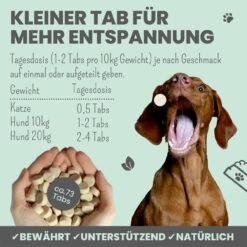 Noms+ Wohlfühltabs Für Hunde & Katzen -Dechra Verkaufe nomsplus wohlfuehltabs hund katze5