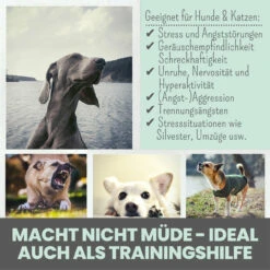 Noms+ Wohlfühltabs Für Hunde & Katzen -Dechra Verkaufe nomsplus wohlfuehltabs hund katze6