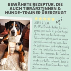Noms+ Wohlfühltabs Für Hunde & Katzen -Dechra Verkaufe nomsplus wohlfuehltabs hund katze7