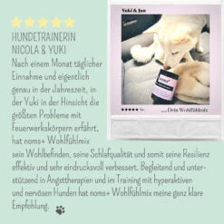 Noms+ Wohlfühltabs Für Hunde & Katzen -Dechra Verkaufe nomsplus wohlfuehltabs hund katze9