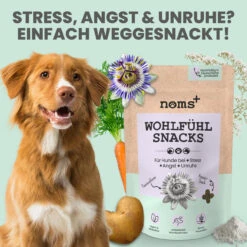 Noms+ Wohlfühlsnacks Für Hunde -Dechra Verkaufe nomsplus wohlfuehltabs hund katze 13