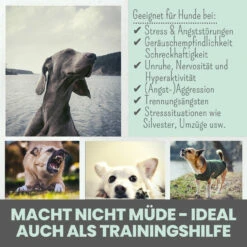 Noms+ Wohlfühlsnacks Für Hunde -Dechra Verkaufe nomsplus wohlfuehltabs hund katze 15