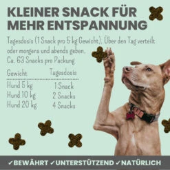 Noms+ Wohlfühlsnacks Für Hunde -Dechra Verkaufe nomsplus wohlfuehltabs hund katze 16