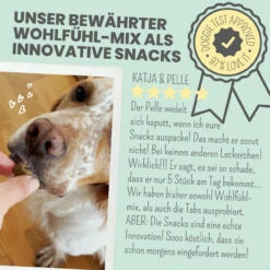 Noms+ Wohlfühlsnacks Für Hunde -Dechra Verkaufe nomsplus wohlfuehltabs hund katze 17