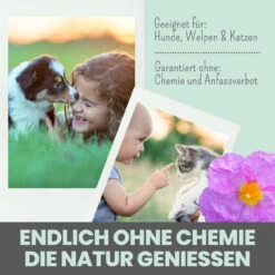 Noms+ Zistrosen Tabs Für Hunde & Katzen -Dechra Verkaufe nomsplus zistrosen tabs hunde katzen5