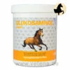 NutriLabs Glukosaminol Equin -Dechra Verkaufe nutrilabs glukosaminol equin pferd