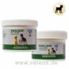 NutriLabs Rascave Hepar Forte + Mite -Dechra Verkaufe nutrilabs rascave hepar hund